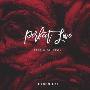 Meet your Posher, Toots